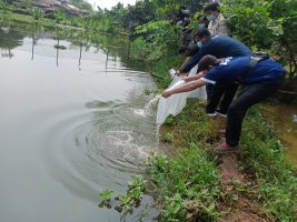 Wujudkan Ketahanan Pangan, BBI Kota Depok Salurkan 2.500 Benih Ikan Konsumsi