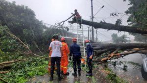 Disdamkar & Penyelamatan Kota Depok Imbau Warga Waspadai Cuaca Ekstrem