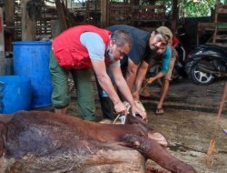 Mahaiida Foundation Sembelih & Salurkan Daging Qurban PT FAST & PT HAII