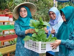 RW 10 Pasir Putih Wakili Depok Lomba Pekarangan Sumber Gizi Keluarga Jabar