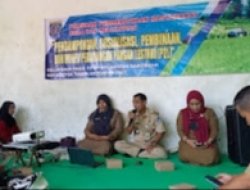 Air Rendaman Jengkol Ampuh Basmi Bakteri & Hama Tanaman