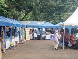 Kecamatan Limo Gelar Bazaar UMKM & Pentas Seni Budaya