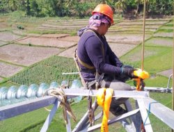 Kolaborasi PLN UIT JBB & UIP JBB Sempurnakan Jalur Transmisi SUTT Malimping-Bayah