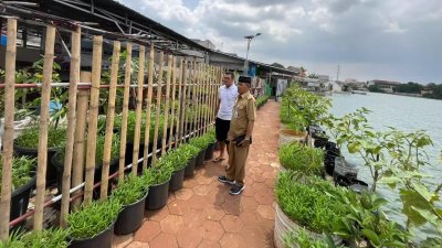 Warga Pinggiran Situ Rawa Besar Ubah Ex TPS Jadi Lahan Urban Farming