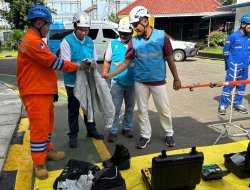 Pastikan Keandalan Listrik, PLN UIT JBB Apel Siaga Dukung Pilkada Serentak