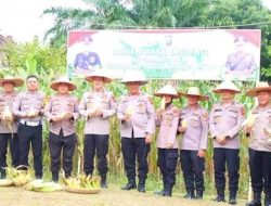 Polres Binjai Panen Raya Perdana Tanaman Jagung