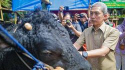 Wali Kota Bogor Himbau Warga Beli Hewan Qurban di BHQ