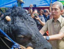 Wali Kota Bogor Himbau Warga Beli Hewan Qurban di BHQ