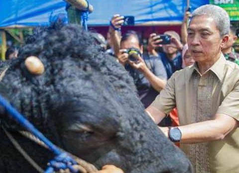 Wali Kota Bogor Himbau Warga Beli Hewan Qurban di BHQ