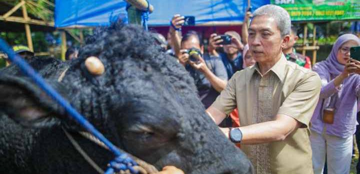 Wali Kota Bogor Himbau Warga Beli Hewan Qurban di BHQ