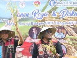 Gubernur Melki Laka Lena Ikut Panen Raya di Kabupaten Rote Ndao