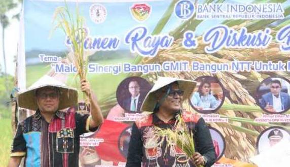 Gubernur Melki Laka Lena Ikut Panen Raya di Kabupaten Rote Ndao