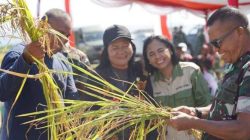 Panen Raya di Baubau, Danrem Joao Nunes Minta Semua Kompak & Pakai Hati
