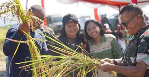Panen Raya di Baubau, Danrem Joao Nunes Minta Semua Kompak & Pakai Hati