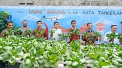 PLN UIT JBB Dukung Kemajuan UMK Electrifying Agriculture Urang Baraya Kota Tangerang
