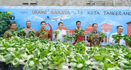 PLN UIT JBB Dukung Kemajuan UMK Electrifying Agriculture Urang Baraya Kota Tangerang
