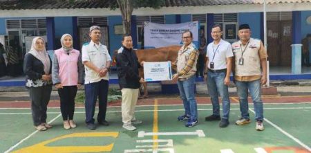 Idul Adha 1446 H, PLN UIT JBB Tebar 3.105 kg Daging Kurban ke Masyarakat