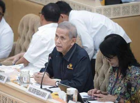 Pemerintah Terus Beri Dukungan Dana Pembangunan DOB Papua