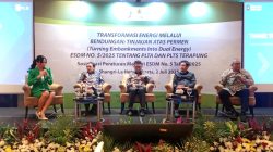 Pemerintah Siap Dukung Percepatan Proyek Energi Berbasis PLTA dan PLTS