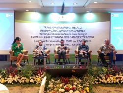 Pemerintah Siap Dukung Percepatan Proyek Energi Berbasis PLTA dan PLTS