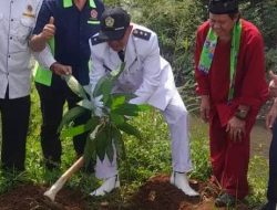 80 Tahun HUT RI, Kelurahan Cinere Tanami Bantaran Kali Grogol Pohon Buah