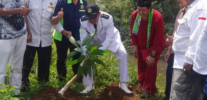 80 Tahun HUT RI, Kelurahan Cinere Tanami Bantaran Kali Grogol Pohon Buah