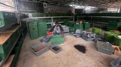 Lurah Betim Dorong Potensi Wilayah Dengan Bangun Kampung Wisata Edukatif