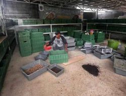 Lurah Betim Dorong Potensi Wilayah Dengan Bangun Kampung Wisata Edukatif