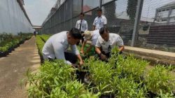 Bina WBP Bercocok Tanam, Rutan Depok Panen Kangkung & Terong