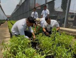 Bina WBP Bercocok Tanam, Rutan Depok Panen Kangkung & Terong