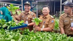 Lurah Curug Terus Dorong Inovasi Pertanian Perkotaan