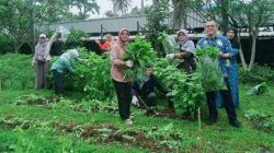 Kelurahan Cisalak & PT Bayer Panen Sayur Mayur Metode Urban Farming