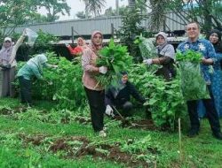 Kelurahan Cisalak & PT Bayer Panen Sayur Mayur Metode Urban Farming