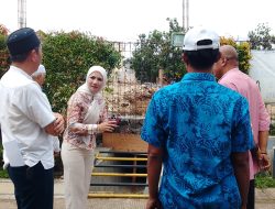 Wakil Ketua DPRD Depok Berikan Solusi Penanganan Banjir Permata Puri 2