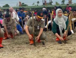 Bupati Kepulauan Seribu Tanam Seribu Bibit Mangrove di Kawasan Jembatan Pengantin